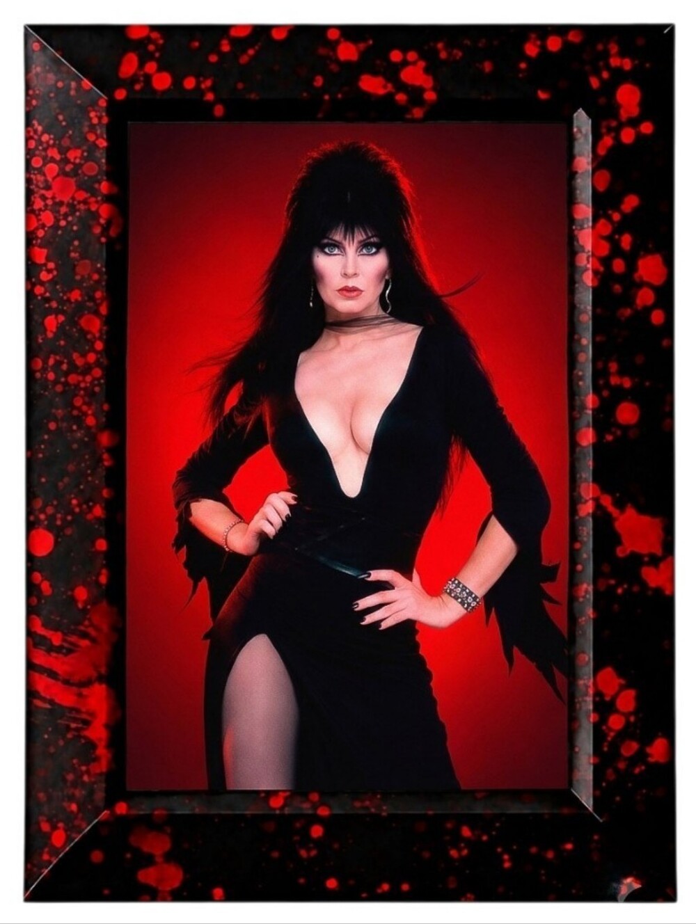 Elvira Framed Horror Queen Cult Classic Gothic Punk Rock Biker Goth Vintage 80s